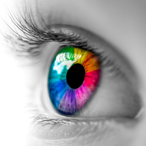 Gallery - Eye Doctors and Retina Specialists in Sarasota Florida – Eye ...