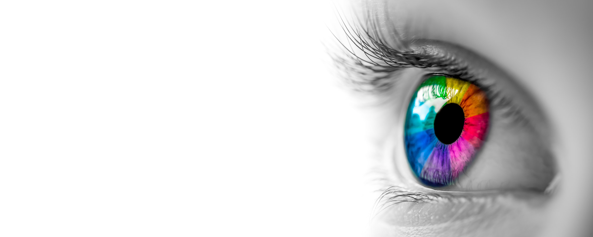 Multi colored eye image